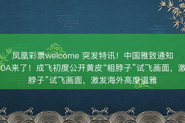 凤凰彩票welcome 突发特讯！中国雅致通知全球：黄皮歼-20A来了！成飞初度公开黄皮“粗脖子”试飞画面，激发海外高度温雅