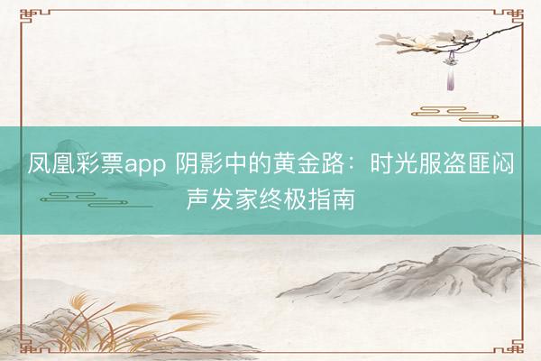 凤凰彩票app 阴影中的黄金路：时光服盗匪闷声发家终极指南