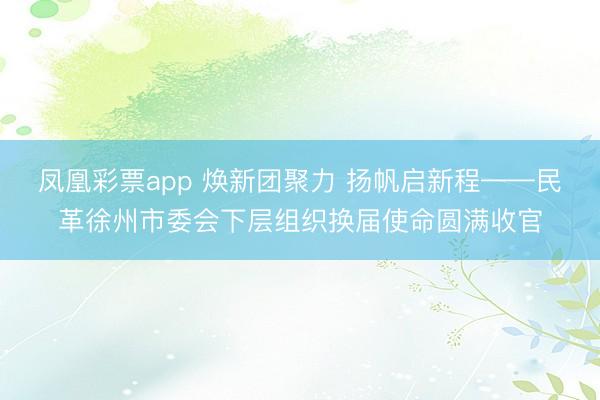 凤凰彩票app 焕新团聚力 扬帆启新程——民革徐州市委会下层组织换届使命圆满收官