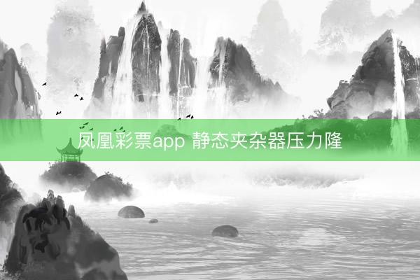凤凰彩票app 静态夹杂器压力隆