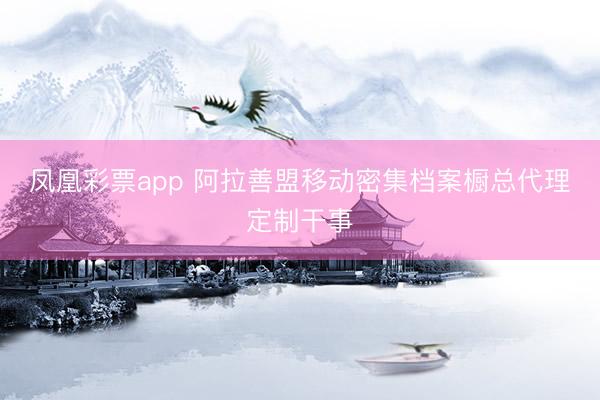 凤凰彩票app 阿拉善盟移动密集档案橱总代理定制干事