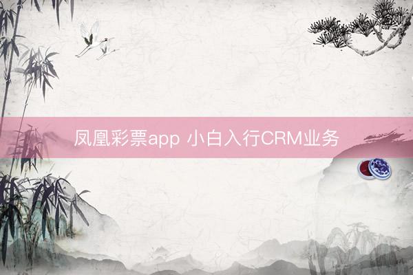 凤凰彩票app 小白入行CRM业务
