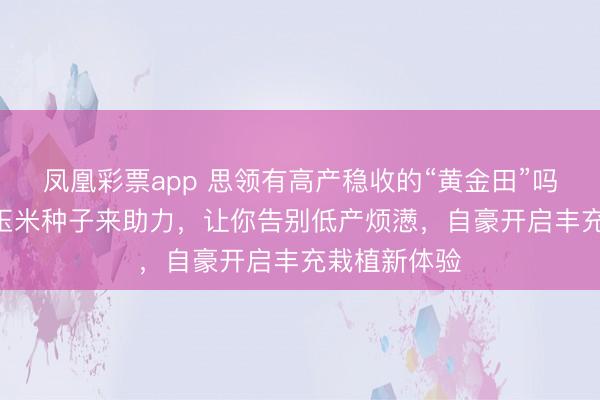 凤凰彩票app 思领有高产稳收的“黄金田”吗？京科968玉米种子来助力，让你告别低产烦懑，自豪开启丰充栽植新体验