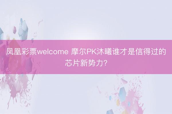 凤凰彩票welcome 摩尔PK沐曦谁才是信得过的芯片新势力？