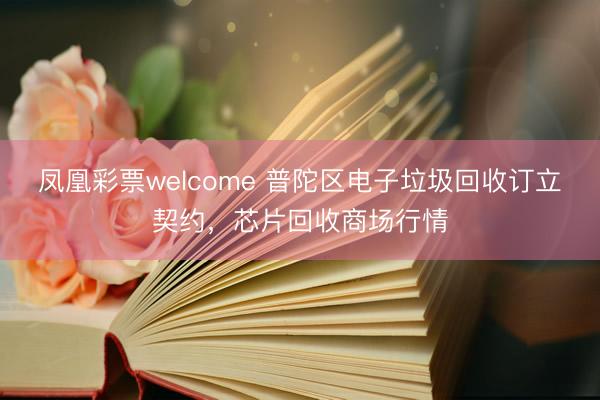 凤凰彩票welcome 普陀区电子垃圾回收订立契约，芯片回收商场行情