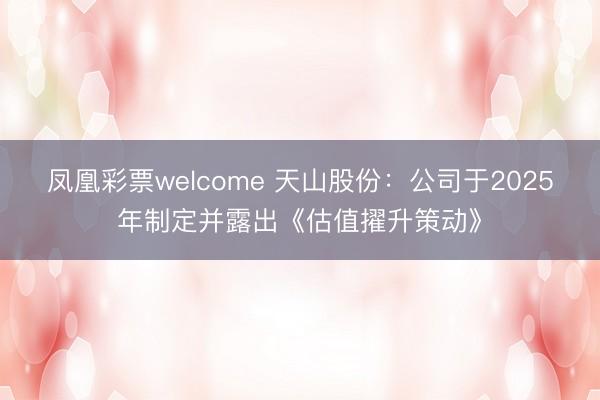 凤凰彩票welcome 天山股份：公司于2025年制定并露出《估值擢升策动》