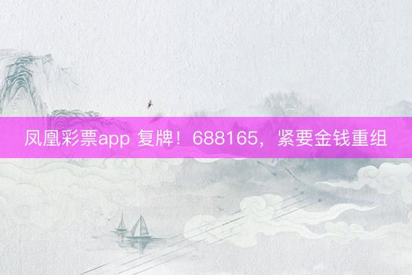 凤凰彩票app 复牌!688165,紧要金钱重组