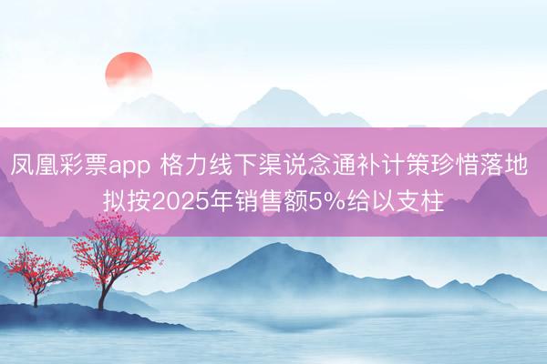 凤凰彩票app 格力线下渠说念通补计策珍惜落地 拟按2025年销售额5%给以支柱
