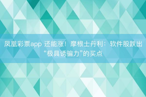 凤凰彩票app 还能涨！摩根士丹利：软件股跌出“极具诱骗力”的买点