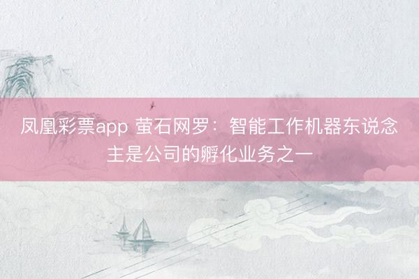 凤凰彩票app 萤石网罗：智能工作机器东说念主是公司的孵化业务之一