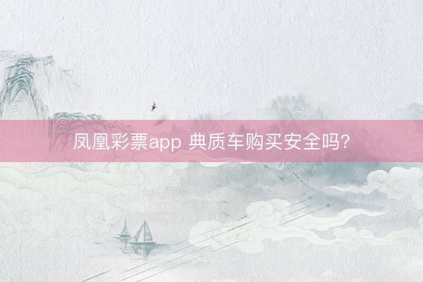 凤凰彩票app 典质车购买安全吗？