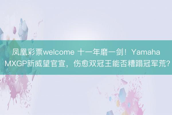 凤凰彩票welcome 十一年磨一剑！Yamaha MXGP新威望官宣，伤愈双冠王能否糟蹋冠军荒？