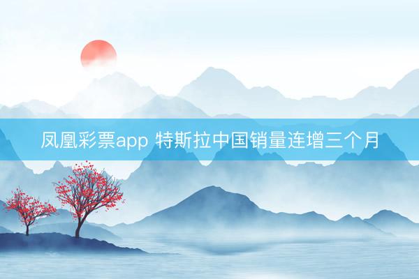 凤凰彩票app 特斯拉中国销量连增三个月