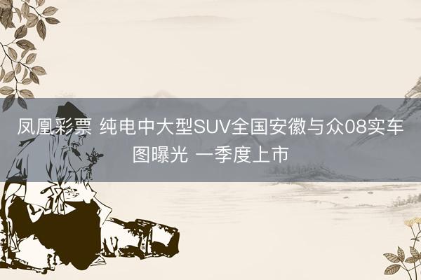 凤凰彩票 纯电中大型SUV全国安徽与众08实车图曝光 一季度上市