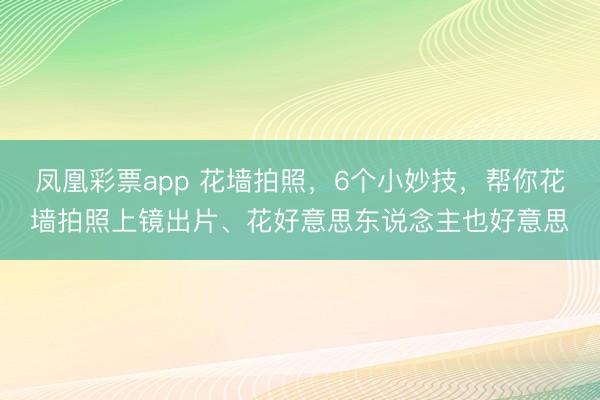 凤凰彩票app 花墙拍照，6个小妙技，帮你花墙拍照上镜出片、花好意思东说念主也好意思