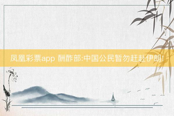 凤凰彩票app 酬酢部:中国公民暂勿赶赴伊朗!