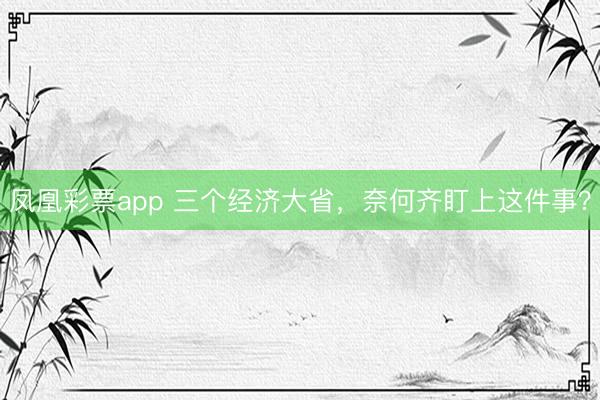 凤凰彩票app 三个经济大省，奈何齐盯上这件事？