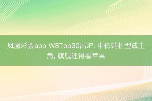 凤凰彩票app W8Top30出炉: 中低端机型成主角, 旗舰还得看苹果
