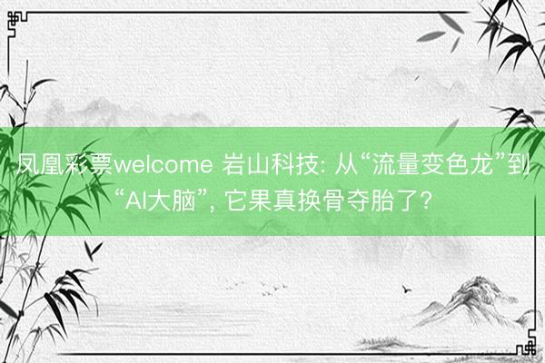 凤凰彩票welcome 岩山科技: 从“流量变色龙”到“AI大脑”, 它果真换骨夺胎了?