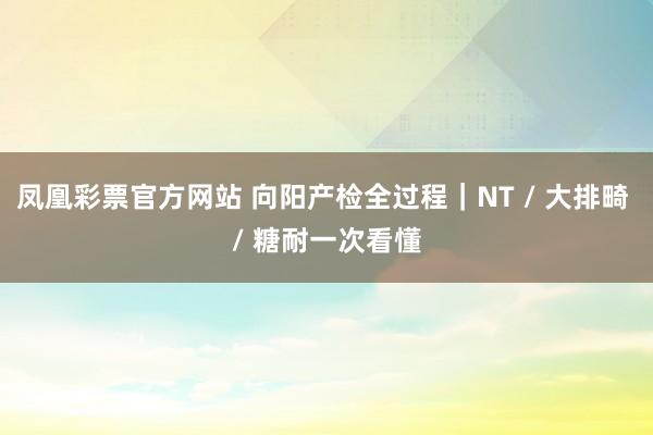 凤凰彩票官方网站 向阳产检全过程｜NT / 大排畸 / 糖耐一次看懂