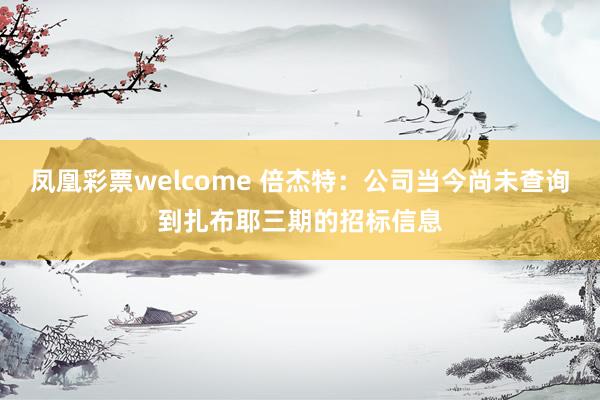 凤凰彩票welcome 倍杰特：公司当今尚未查询到扎布耶三期的招标信息