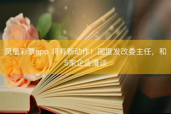 凤凰彩票app 将有新动作！国度发改委主任，和5家企业漫谈