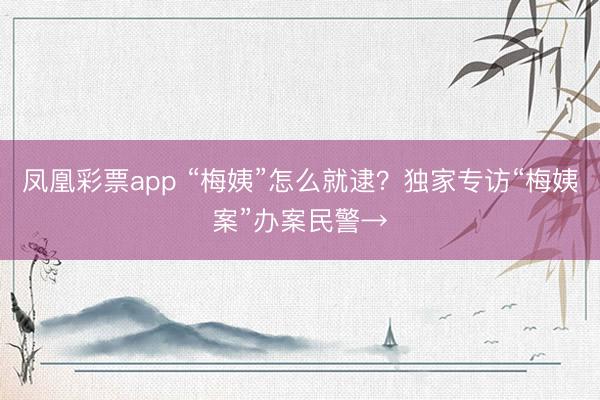 凤凰彩票app “梅姨”怎么就逮？独家专访“梅姨案”办案民警→