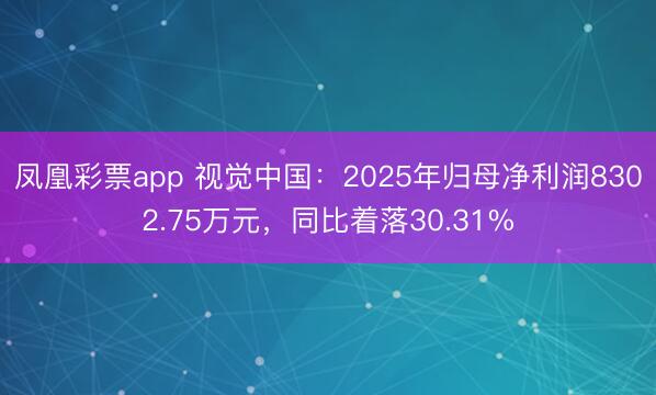 凤凰彩票app 视觉中国：2025年归母净利润8302.75万元，同比着落30.31%