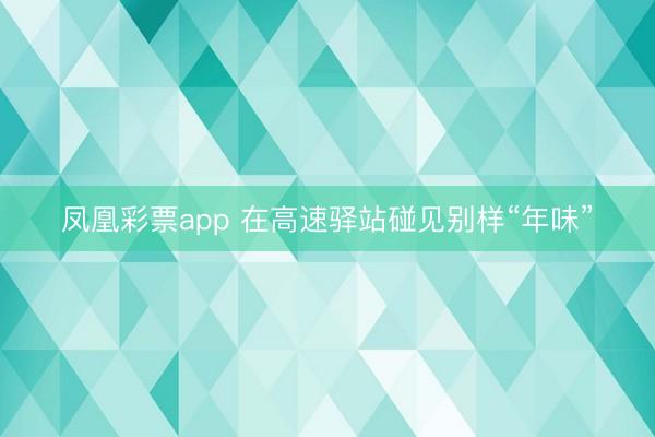凤凰彩票app 在高速驿站碰见别样“年味”