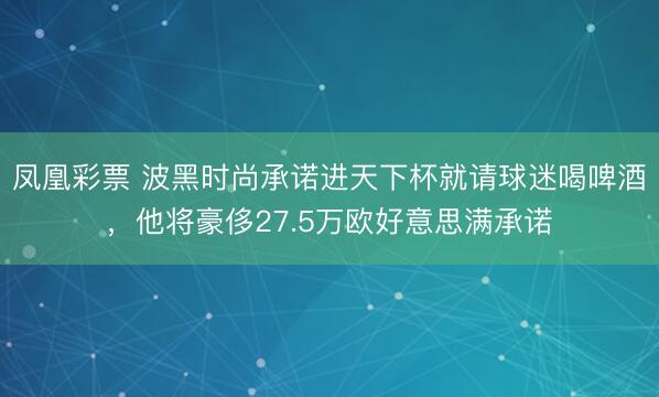 凤凰彩票 波黑时尚承诺进天下杯就请球迷喝啤酒，他将豪侈27.5万欧好意思满承诺