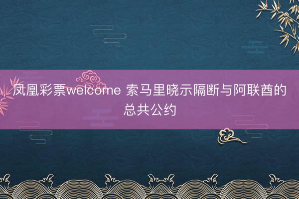 凤凰彩票welcome 索马里晓示隔断与阿联酋的总共公约