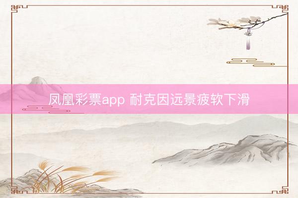凤凰彩票app 耐克因远景疲软下滑
