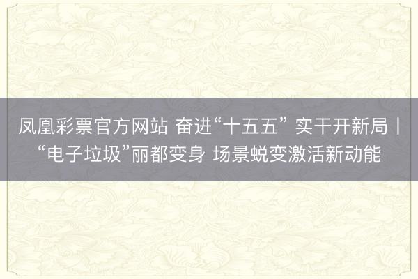凤凰彩票官方网站 奋进“十五五” 实干开新局丨“电子垃圾”丽都变身 场景蜕变激活新动能