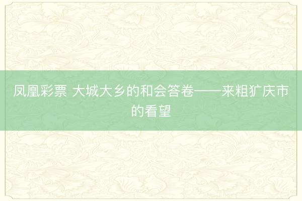 凤凰彩票 大城大乡的和会答卷——来粗犷庆市的看望