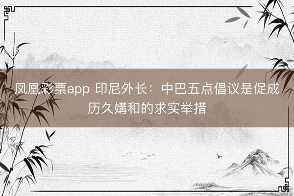 凤凰彩票app 印尼外长：中巴五点倡议是促成历久媾和的求实举措