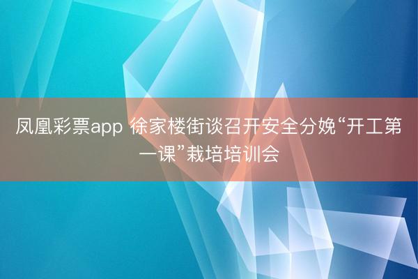 凤凰彩票app 徐家楼街谈召开安全分娩“开工第一课”栽培培训会