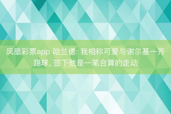 凤凰彩票app 哈兰德: 我相称可爱与谢尔基一齐踢球， 签下他是一笔合算的走动