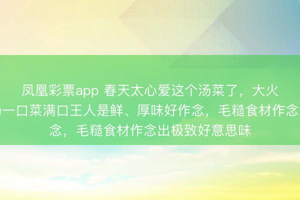 凤凰彩票app 春天太心爱这个汤菜了，大火一锅煮！一口汤一口菜满口王人是鲜、厚味好作念，毛糙食材作念出极致好意思味