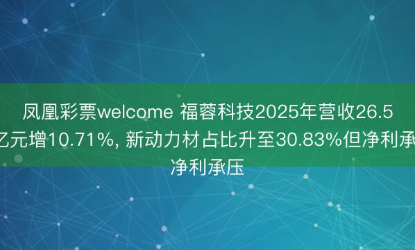 凤凰彩票welcome 福蓉科技2025年营收26.52亿元增10.71%， 新动力材占比升至30.83%但净利承压