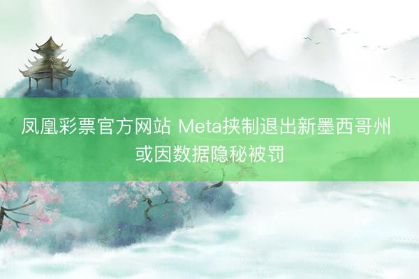 凤凰彩票官方网站 Meta挟制退出新墨西哥州 或因数据隐秘被罚
