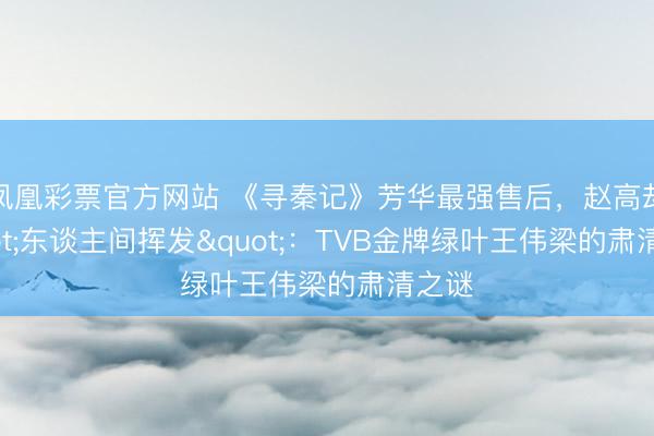 凤凰彩票官方网站 《寻秦记》芳华最强售后，赵高却"东谈主间挥发"：TVB金牌绿叶王伟梁的肃清之谜
